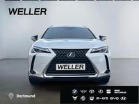 Gebraucht Lexus UX 250h 184 PS (135 kW) 2022 Weiß SUV