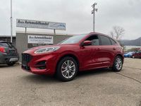Gebraucht Ford Kuga ST-Line X 152 PS (111 kW) 2020 Rot SUV