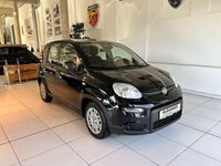 Gebraucht Fiat Panda 69 PS (50 kW) 2024 Schwarz Kleinwagen