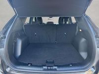 Gebraucht Ford Kuga ST-Line 151 PS (111 kW) 2024 Magnetic grau metallic SUV