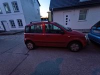 Gebraucht Fiat Panda 68 PS (50 kW) 2008 Schwarz Kleinwagen