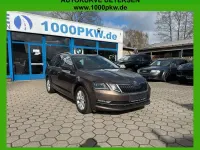 Gebraucht Skoda Octavia Style 150 PS (110 kW) 2020 Braun Kombi