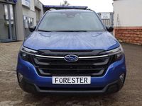 Neu Subaru Forester Platinum 136 PS (100 kW) 2026 River rock pearl SUV