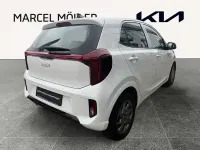Gebraucht Kia Picanto Vision 79 PS (58 kW) 2024 Weiß Kleinwagen