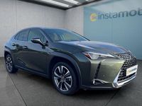Gebraucht Lexus UX 184 PS (135 kW) 2023 Grün SUV