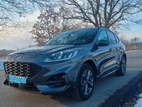 Gebraucht Ford Kuga ST-Line 224 PS (164 kW) 2024 Grau SUV