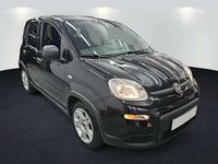 Gebraucht Fiat Panda 69 PS (50 kW) 2024 Colore esterno (cinema schwarz Limousine