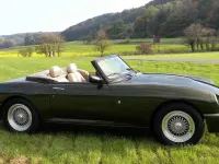 Gebraucht MG RV8 192 PS (141 kW) 1995 Grün Cabrio