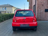 Gebraucht VW Lupo 50 PS (36 kW) 1999 Rot Kleinwagen