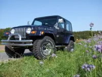 Gebraucht Jeep Wrangler 177 PS (130 kW) 1999 Blau SUV