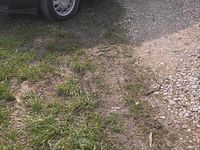 Gebraucht Audi A4 125 PS (91 kW) 1997 Limousine