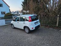 Gebraucht Fiat Panda 69 PS (50 kW) 2023 Weiß Kombi