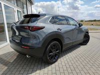 gebraucht Mazda CX-30 HOMURA AWD +1.000EUR Leasing-Bonus Klimaaut Sitzheizg RFK MRCC LogIn Navi