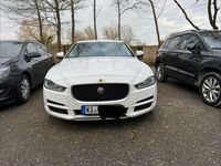Gebraucht Jaguar XE Portfolio 179 PS (131 kW) 2015 Weiß Limousine