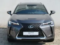 Gebraucht Lexus UX 250h 184 PS (135 kW) 2023 Obsidiangrau metallic SUV
