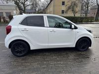 Gebraucht Kia Picanto Vision 67 PS (49 kW) 2024 Weiß Kleinwagen