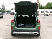 Neu Ford Kuga Active 242 PS (177 kW) 2025 Grün SUV