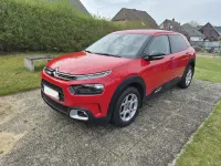 Gebraucht Citroën C4 Cactus Shine 102 PS (75 kW) 2019 Rot Kleinwagen