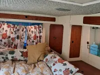 Gebraucht Renault Trafic 100 PS (73 kW) 2003 Weiß Van / Kleinbus