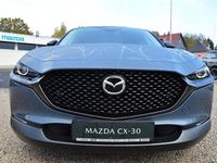 Neu Mazda CX-30 Nagisa 140 PS (102 kW) 2025 SUV