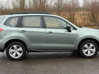 Occasion Subaru Forester Active 147 ch (108 kW) 2014 Vert SUV