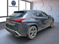 Gebraucht Lexus UX 250h 184 PS (135 kW) 2022 Grau SUV