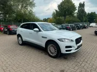 Gebraucht Jaguar F-Pace 179 PS (131 kW) 2018 Weiß SUV