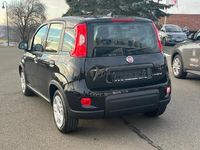 Gebraucht Fiat Panda 69 PS (50 kW) 2024 Schwarz Kleinwagen