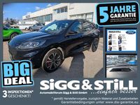 Gebraucht Ford Kuga ST-Line X 190 PS (139 kW) 2023 Obsidianschwarz metallic SUV
