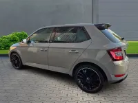 Gebraucht Skoda Fabia Monte Carlo 95 PS (69 kW) 2019 Grau Kleinwagen