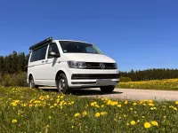 Second-hand VW T6 150 CP (110 kW) 2018 Alb Van
