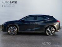 gebraucht Lexus UX 250h Launch Edition *Navi*LED*PDC*Kamera*