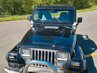 Gebraucht Jeep Wrangler 185 PS (136 kW) 1994 Schwarz SUV