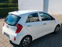 Gebraucht Kia Picanto 69 PS (50 kW) 2012 Weiß Kleinwagen