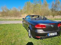 Gebraucht VW Eos Basis 122 PS (89 kW) 2011 Braun Cabrio