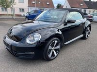 Gebraucht VW Beetle Cabriolet 105 PS (77 kW) 2016 Schwarz Cabrio