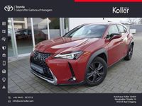 Gebraucht Lexus UX 200 Launch Edition 171 PS (125 kW) 2019 Blazing carnellian 4y1 SUV