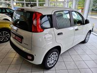 Gebraucht Fiat Panda 69 PS (50 kW) 2025 Weiß Kleinwagen