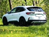 Gebraucht Ford Kuga Titanium X 284 PS (208 kW) 2022 Weiß SUV