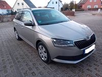 Gebraucht Skoda Fabia Ambition 110 PS (80 kW) 2019 Beige Kombi