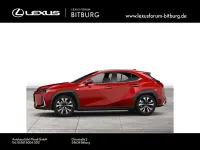Gebraucht Lexus UX 250h 184 PS (135 kW) 2022 Solid red (metallic) SUV