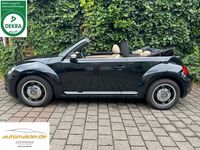 gebraucht VW Beetle Cabriolet Design BMT *Leder*