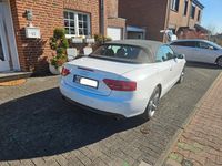 Gebraucht Audi A5 Cabriolet 211 PS (155 kW) 2010 Weiß Cabrio