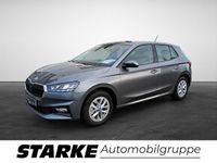 Gebraucht Skoda Fabia Selection 95 PS (69 kW) 2025 Grau Kleinwagen