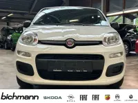 Gebraucht Fiat Panda 69 PS (50 kW) 2021 Weiß Kleinwagen