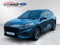 Gebraucht Ford Kuga ST-Line X 150 PS (110 kW) 2023 SUV