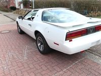 gebraucht Pontiac Firebird Trans Am Targa Leder