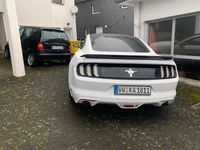 Second-hand Ford Mustang 310 CP (228 kW) 2017 Alb Coupe