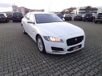Gebraucht Jaguar XF 180 PS (132 kW) 2019 Andere Limousine