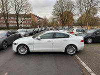Gebraucht Jaguar XE Portfolio 179 PS (131 kW) 2015 Weiß Limousine
